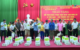 Hỗ trợ người dân bị thiệt hại do mưa lũ