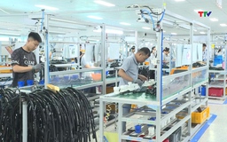 Thanh Hóa xuất khẩu hàng hóa đạt gần 5,9 tỷ USD
