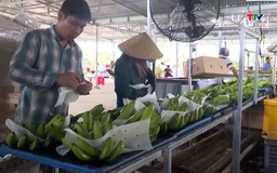 Năm 2025 xuất khẩu rau quả của Việt Nam có thể vượt mốc 8 tỷ USD