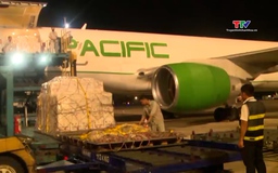 Cộng đồng quốc tế hỗ trợ Việt Nam 9,7 triệu USD khắc phục bão lũ