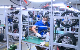 Hơn 244 nghìn tỷ đồng cho vay phát triển kinh tế