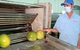 Xuất khẩu rau quả tăng trưởng bứt phá