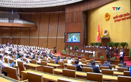 Quốc hội thảo luận về tình hình phát triển kinh tế, xã hội, 
sắp xếp tổ chức bộ máy