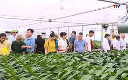 Tập huấn "Hướng dẫn ứng dụng công nghệ cao trong quản trị và sản xuất, kinh doanh nông nghiệp"