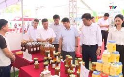 Liên kết tiêu thụ - Giải pháp bền vững cho nông sản an toàn Thanh Hóa