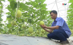 Nâng cao giá trị nông sản nhờ sản xuất theo tiêu chuẩn VietGap, OCOP