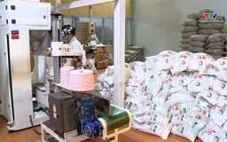 Việt Nam tiếp tục trong nhóm xuất khẩu gạo hàng đầu thế giới