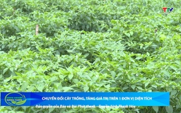 Bản tin Nông nghiệp – Nông thôn 4/10/2025