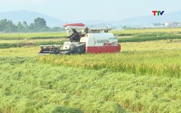 Đẩy mạnh cơ giới hóa trong sản xuất nông nghiệp 