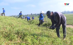 Phường Đông Tiến tổ chức phát quang, làm sạch đê sông Chu, sông Mã