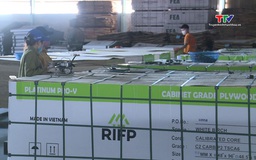 Ngành gỗ Thanh Hóa đa dạng hóa thị trường tiêu thụ