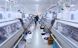 Thanh Hóa thu ngân sách hơn 44 nghìn tỷ đồng, đứng thứ 9 cả nước