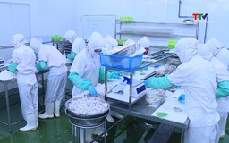 Xuất khẩu thủy sản bứt phá trong khó khăn