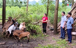 Thanh Hóa vững bước trên hành trình giảm nghèo bền vững