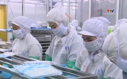 Xuất nhập khẩu 9 tháng tăng trưởng mạnh