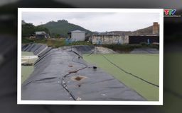 Dừng hoạt động trang trại lợn gây ô nhiễm ở xã Thanh Quân