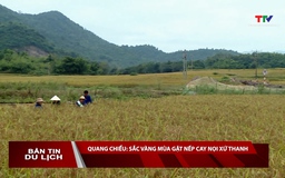 Bản tin Du lịch 11/11/2025