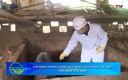 Bản tin Nông nghiệp - Nông thôn ngày 12/11/2025