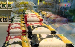 Gạo ST25 của Việt Nam lần thứ ba đạt giải gạo ngon nhất thế giới