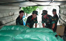 Hỗ trợ khẩn cấp kinh phí cho các tỉnh, thành phố khắc phục hậu quả thiên tai
