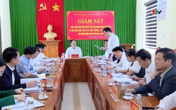 HĐND tỉnh giám sát tại xã Sao Vàng