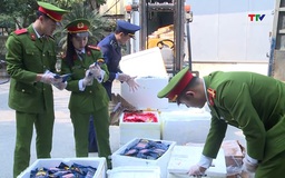 Xử lý hơn 580 hành vi vi phạm trong lĩnh vực buôn lậu, gian lận thương mại