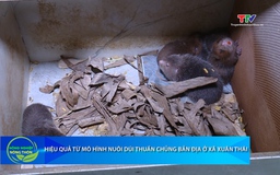 Bản tin Nông nghiệp - Nông thôn 15/11/2025