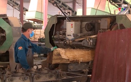 Ngành gỗ thu 14 tỷ USD từ xuất khẩu