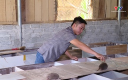 Hiệu quả từ mô hình nuôi dúi thuần chủng bản địa