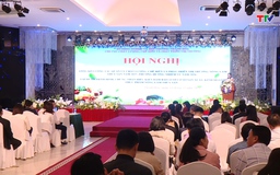 Triển khai công tác an toàn thực phẩm, chế biến và phát triển thị trường năm 2026