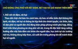 Chủ động ứng phó với rét đậm, rét hại và gió mạnh trên biển