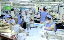 Thúc đẩy hợp tác doanh nghiệp Việt – Mỹ