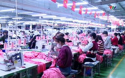Ngành dệt may bứt tốc trong biến động 
