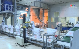 Giá đường rơi xuống mức thấp nhất trong 4 năm gần đây