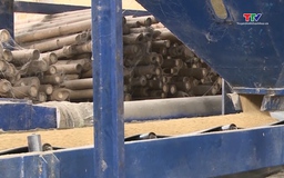 Xuất khẩu gạo của Việt Nam ứng phó linh hoạt trước biến động từ thị trường