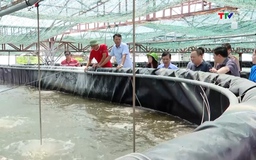 Năm 2026 phấn đấu chuyển đổi hơn 1.600 ha đất sản xuất nông nghiệp 