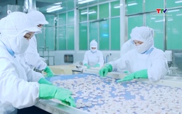 Ngành thủy sản mở rộng thị trường xuất khẩu