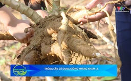 Bản tin Nông nghiệp – Nông thôn ngày 22/11/2025