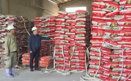 Đảm bảo vật tư nông nghiệp cung ứng cho sản xuất vụ chiêm xuân 2025 - 2026