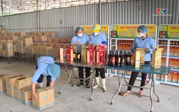 Các chủ thể sản xuất sản phẩm OCOP chuẩn bị hàng Tết