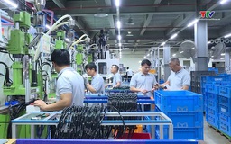 Thanh Hóa thu hút 179 dự án đầu tư tại các khu công nghiệp trong 5 năm qua