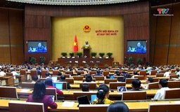 Quốc hội thảo luận ở hội trường về một số dự án luật