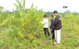 Giúp người lao động tiếp cận tiến bộ khoa học kỹ thuật