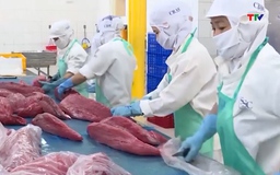 Xuất khẩu cá ngừ giảm cuối năm 