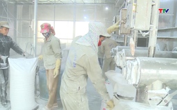 Xuất khẩu sắn vượt 1 tỷ USD nhưng thiếu tính bền vững 