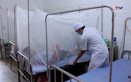 Sốt xuất huyết tăng mạnh với hơn 110 nghìn ca mắc