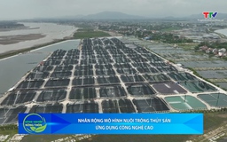 Bản tin Nông nghiệp - Nông thôn ngày 26/11/2025