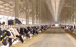 Sản xuất sạch, hướng đến phát triển xanh, bền vững