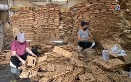 Doanh nghiệp thích ứng với biến động thương mại