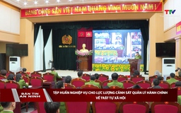 Bản tin An ninh 29/11/2025